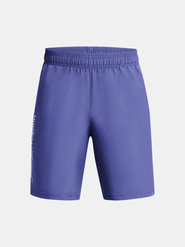 Boys' shorts Under Armour Woven Wdmk Shorts
