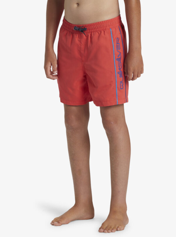Boys' shorts swimsuit Quiksilver EVERYDAY VERT VOLLEY