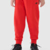 Boys' sweatpants 4F