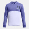 Boys' sweatshirt Under Armour UA Boys Rival Terry Hoodie