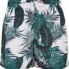 Boys' swimsuit with palm leaf pattern aop