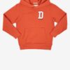 Brick boys' hoodie Tom Tailor - Boys