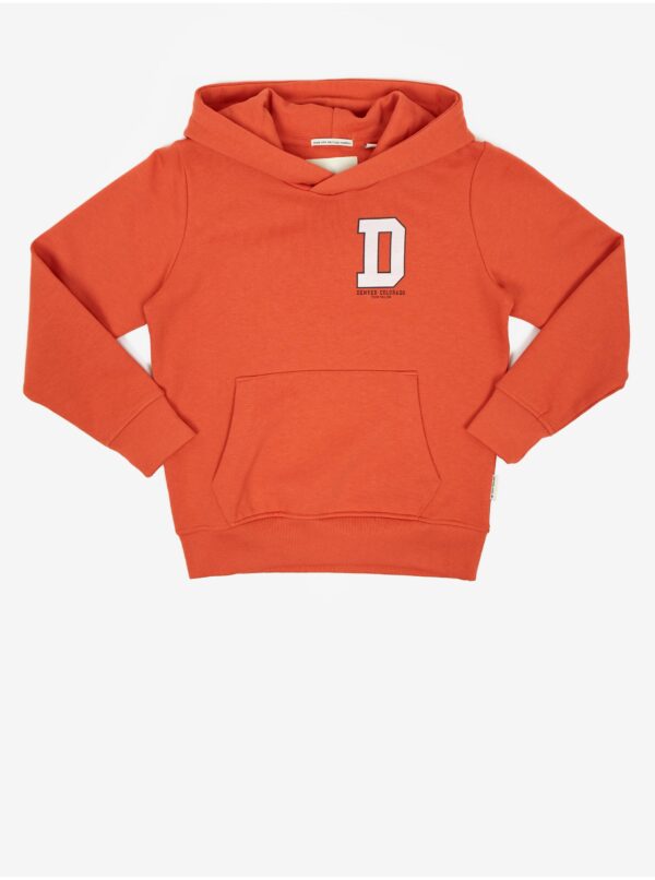 Brick boys' hoodie Tom Tailor - Boys
