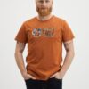 Brown Men's T-Shirt Picture - Men
