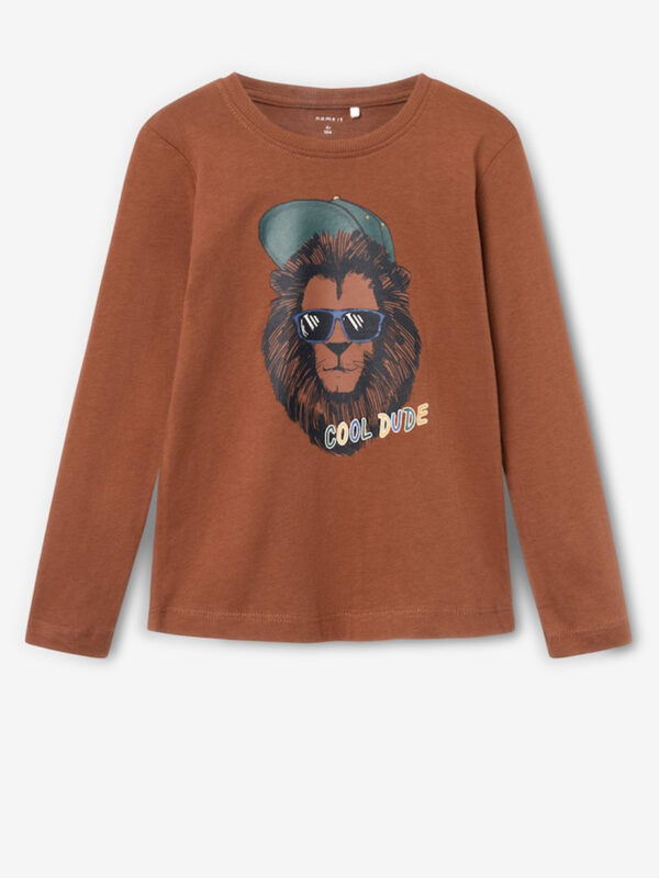 Brown boys' t-shirt name it Ricko