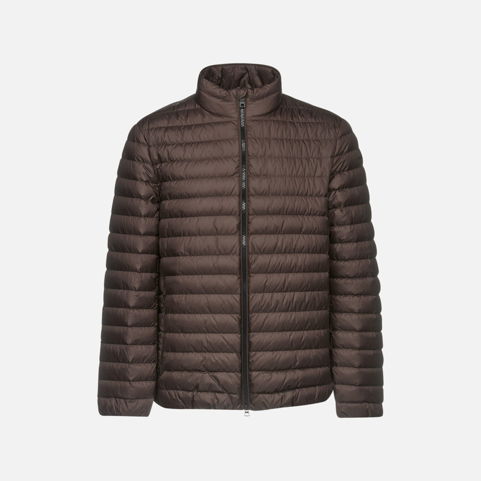 Brown men's down jacket Geox Dereck - Men's