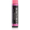 Burt’s Bees Tinted Lip Balm ajakbalzsam árnyalat Pink Blossom 4.25 g-Eredeti