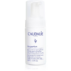 Caudalie Vinoperfect élénkitő peeling A.H.A.-val (Alpha Hydroxy Acids) 100 ml-Ár