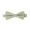 Celio Bowtie Libowwed - Men's