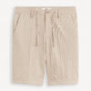 Celio Canvas Shorts Doevanbm - Men