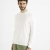 Celio Decoton Smooth Sweater - Men