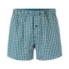 Celio Jiwocheck Briefs - Men's