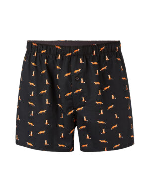Celio Jiwofox Briefs - Men's