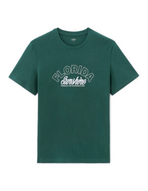 Celio Leflo T-shirt - Men's