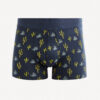 Celio Patterned Boxer Shorts Gibocactus - Men's