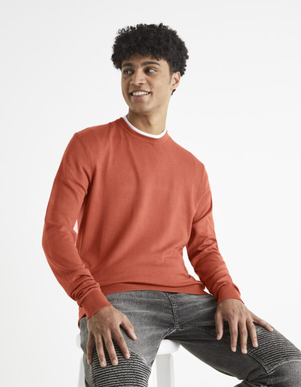 Celio Smooth Sweater Befirst - Men