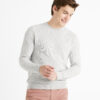 Celio Sweater Bepic with round neckline - Men