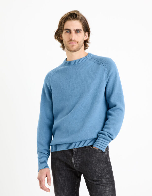 Celio Sweater Febasic - Men