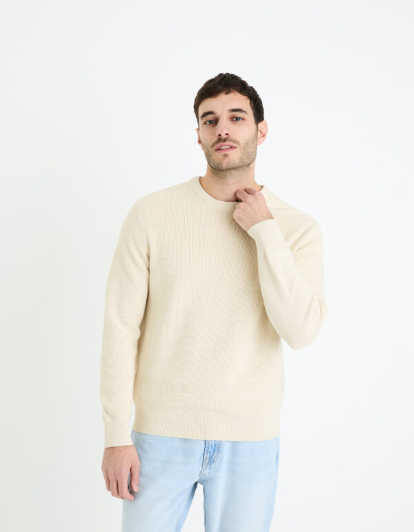 Celio Sweater Gexter - Men's