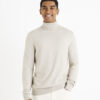 Celio Sweater with turtleneck Cerouley - Men