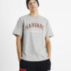 Celio T-shirt Harvard University - Men