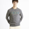 Celio Woolen sweater Cenormal - Men