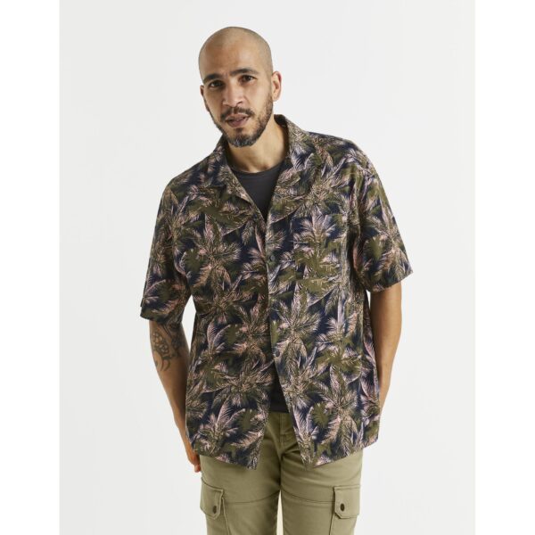 Celio ing Vallinsud