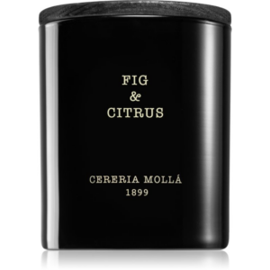 Cereria Mollá Boutique Fig & Citrus illatgyertya 230 g-ár