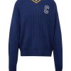 Champion Authentic Athletic Apparel Pulóver  tengerészkék / világoskék / aranysárga-Ár