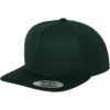 Classic Snapback Spruce