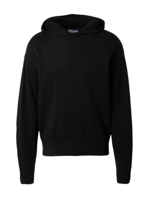 DAN FOX APPAREL Pulóver 'Erwin'  fekete-Ár
