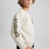 DEFACTO Boy New Regular Fit Crew Neck Sweatshirt