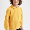DEFACTO Boys Hoodie Sweatshirt