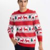 DEFACTO Christmas Themed Standard Fit Regular Cut Patterned Crew Neck Knitwear Sweater