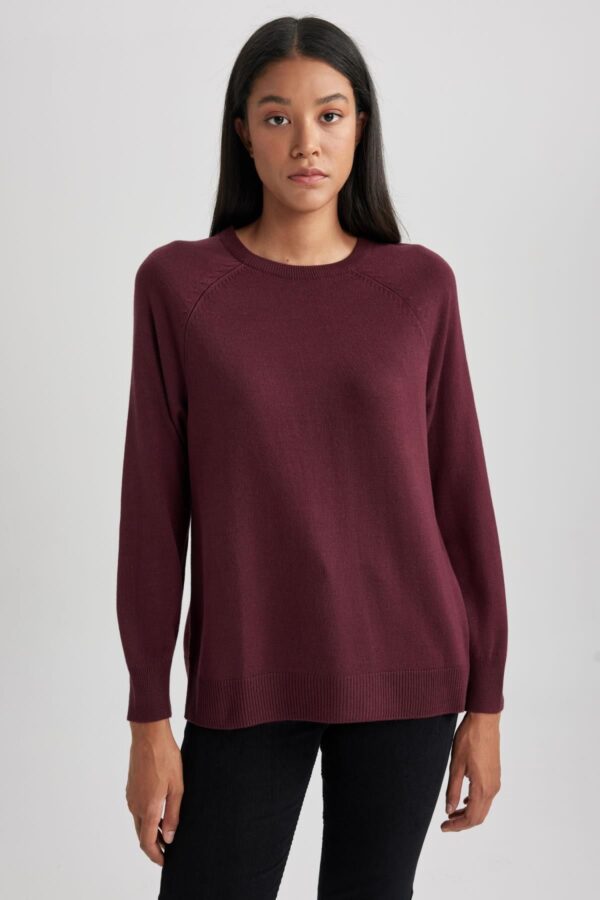 DEFACTO Relax Fit Crew Neck Basic Sweater