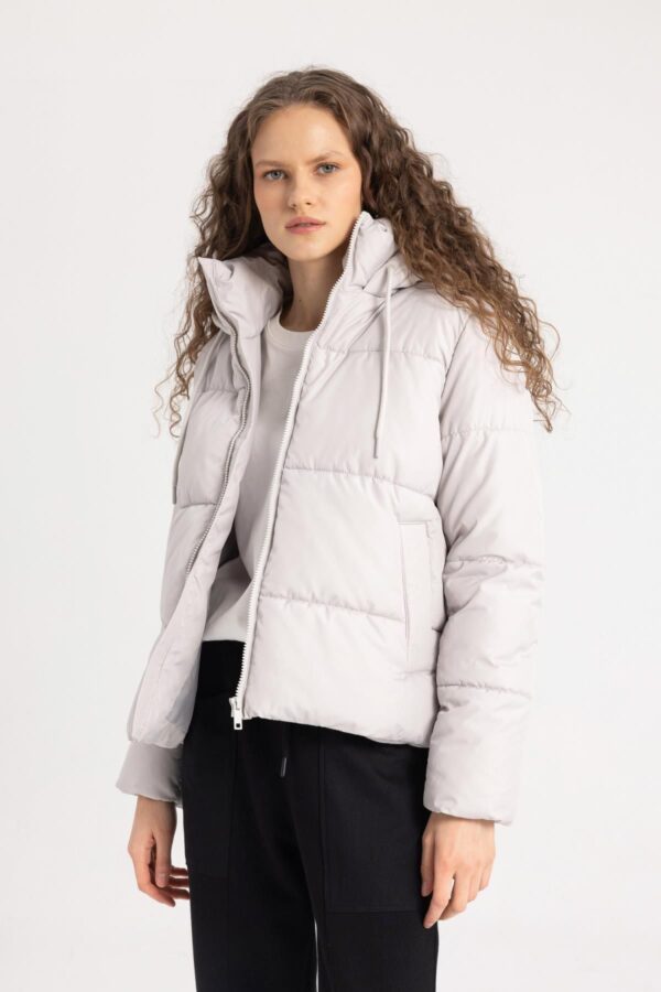 DEFACTO Waterproof Regular Fit Hooded Puffer Jacket