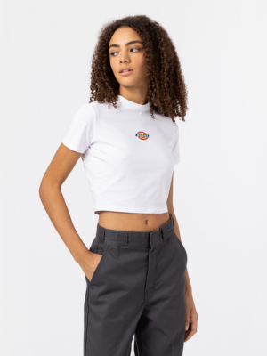 DICKIES Póló 'MAPLE VALLEY'  sötétkék / sárga / piros / fehér-Hungary