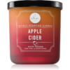 DW Home Signature Apple Cider illatgyertya 280 g