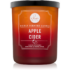DW Home Signature Apple Cider illatgyertya 438.85 g