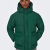 Dark green men's quilted winter jacket ONLY & SONS Carl - Men's