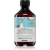 Davines Naturaltech Well-Being Shampoo sampon minden hajtípusra 250 ml-Ár