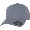 Delta Grey Cap