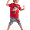 Denokids Hi Skateboard Boy T-shirt Capri Shorts Set