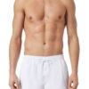 Diesel Shorts - BMBX-CAYBAY-SHORT-X BOXER-SHOR white