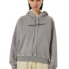 Diesel Sweatshirt - F-REGGY-HOOD-IND SWEAT-SHIRT grey