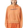 Diesel Sweatshirt - F-REGGY-HOOD-IND SWEAT-SHIRT orange
