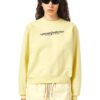 Diesel Sweatshirt - F-REGGY-IND SWEAT-SHIRT yellow