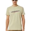 Diesel T-shirt - T-DIEGOR-IND T-SHIRT beige