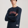 Diverse Men's sweatshirt CHESTCREW