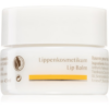 Dr. Hauschka Eye And Lip Care ajakbalzsam tápláló hatással 4